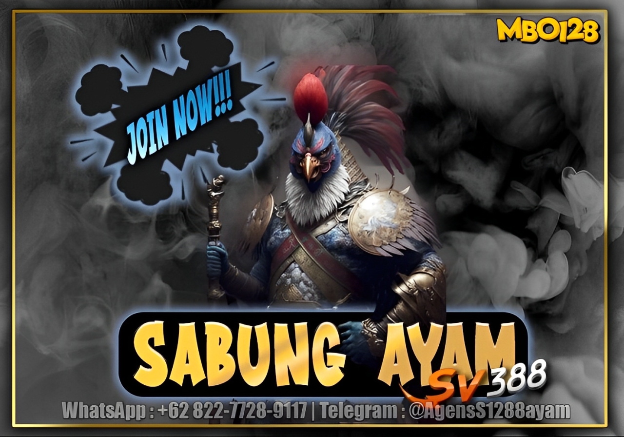 MBO128: VIRAL!! SABUNG AYAM WINS 7x TANPA POTONGAN